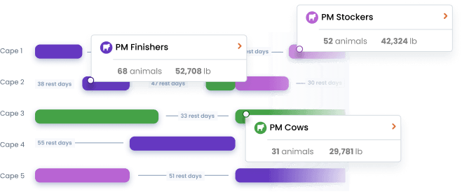 Grazing chart of a livestock