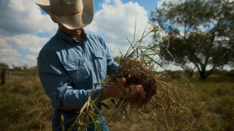 Opinion: Soil health is common ground — let’s build on it to revitalize American ranching | Agri-Pulse